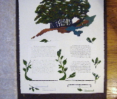 Custom Designed Ketubah Example 4