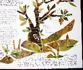 Custom Designed Ketubah Example 7